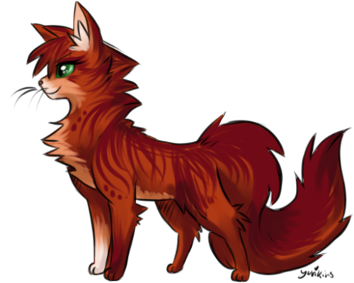 yurimon:I drew a bunch of Warrior cats. :B