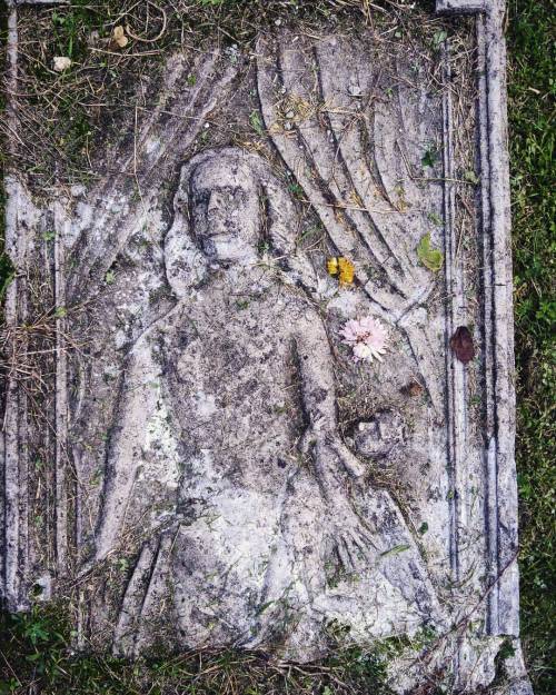 #tumba #cementerio #coruña #galicia #españa #otoño