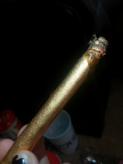 marybriannna:  24K gold twaxed blunt 😏👅💦   shinepapers datkneegrowswagg