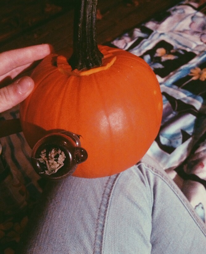 rlyhigh:  houstonhellcat:  alice-mackenzie:  It’s not fall until you make a pumpkin