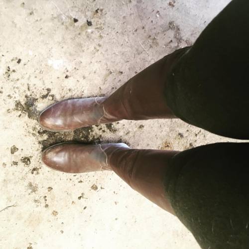 #equestrianstyle #size12feet #size12shoes #longtoes #dirtyfeet #sweatyfeet #footfetishconnection #fo