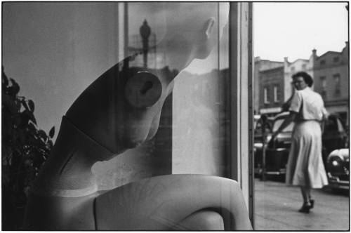 pretonobranco77: By Elliott Erwitt Wilmington. North Carolina. 1950