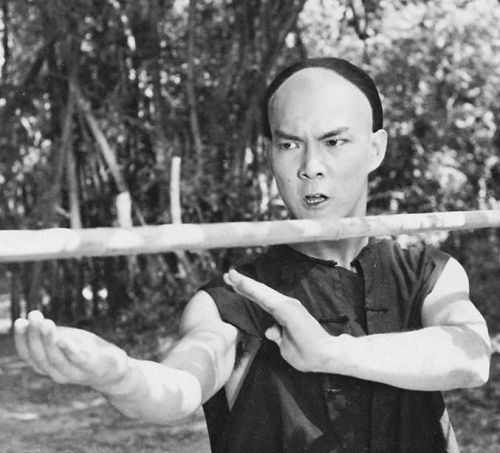 gutsanduppercuts:  Long before Donnie Yen immortalized the art of Wing Chun on screen, Yuen Biao starred in what might very well be the definitive Wing Chun film, “Prodigal Son”.