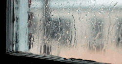 sexyhappychick:  a-london-gent:  It’s a rainy day….  Well. In my head anyway…