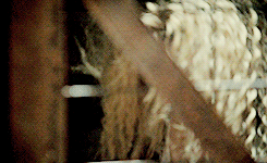 ohmygodhelena-deactivated201707:   Shot point blank in the chest and she walks in? How is she even alive? 