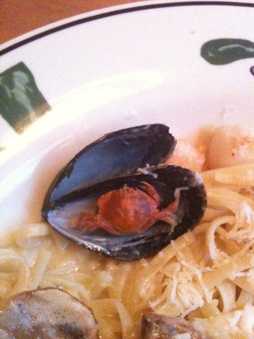 hobgoblinhero:  andrewthepoet:  One time I went on a date to the Olive Garden and I ordered the seafood pasta. I open up one of the muscle oyster things and low and behold there is a tiny crab in there. I freak out and think it’s the craziest thing