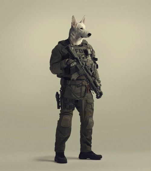 Porn photo russdom: gunsngear:  War Dogs.  10/10 Usage