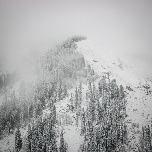 with-the-wolves:  Silencio by Dr.E on Flickr. 