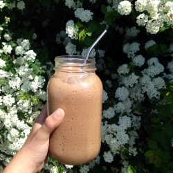 vegan-veins:  Chocolate banana smoothie :)