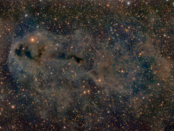 the-wolf-and-moon:  Lynds Dark Nebula 1251   Do you ever look at real stars? This one here looks pretty trippy.