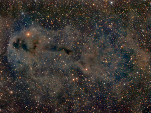 Porn photo the-wolf-and-moon:  Lynds Dark Nebula 1251