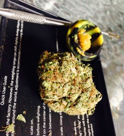 ganja-forevermore:  nug of headband and some