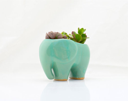 lesstalkmoreillustration - Mini Handmade Ceramic Elephant...