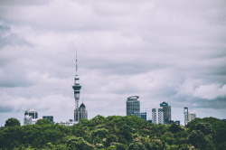 deeplovephotography:Auckland Views  instagram | flickr | facebook