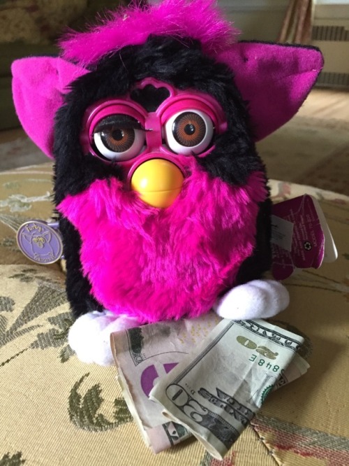 sensualfurbs-blog: You have been visited by the elusive one-lashed money furby. Like or Repost in th