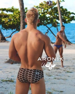 aronikswim:Stun and stagger them!  Aronikswim.com
