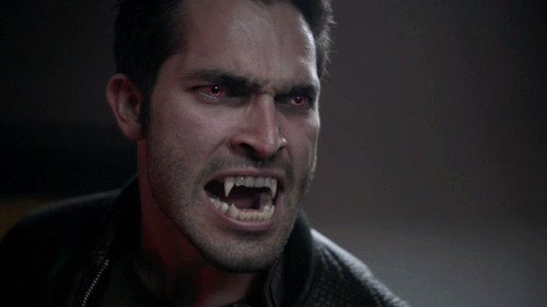 sterek