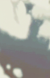 shield-of-black-flames:  "The true measure of a shinobi is not how he lives