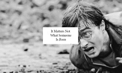 firnicks-blog:  &ldquo;It matters not what someone is born, but what they grow to be”- Dumbledore 