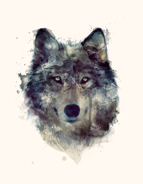 https://gunter668.tumblr.com/post/113647331882