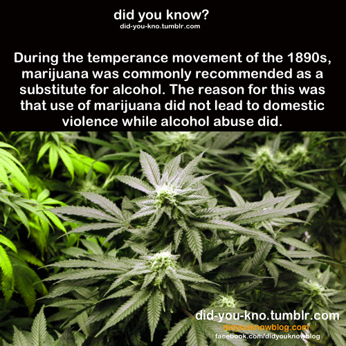 did-you-kno:  Source 