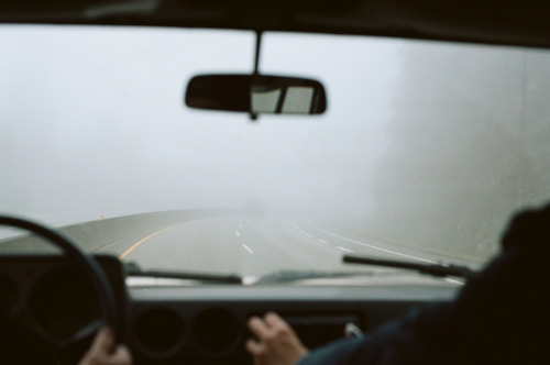 thesoutherly:  Alana Paterson 