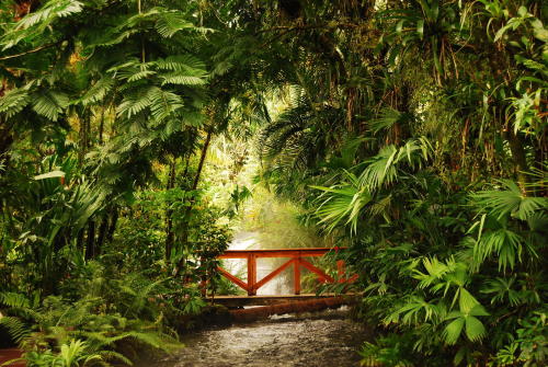 cedorsey:  ParadisioPhoto Credit: (Kent Peggram)