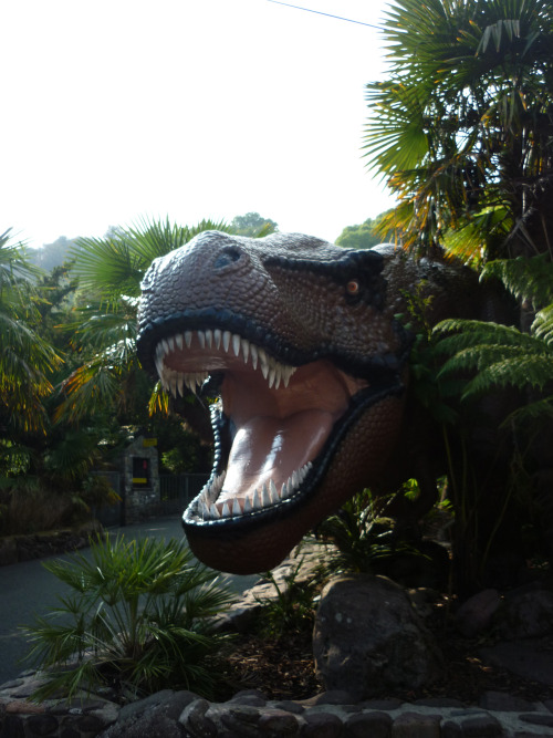 Dinosaur Park at Dan-yr-Ogof, September 2014