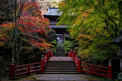 Unganji Temple (雲厳寺) by christinayan01 on Flickr.