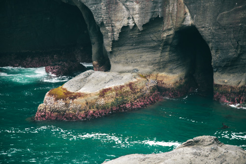 hannahkemp: Sea Caves Prints//Instagram