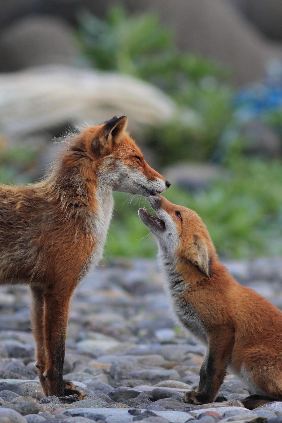 0ce4n-g0d:  Please give me love | Masa Nakamura 