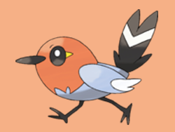 Pokémon: Common Birds