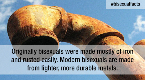 rainbowdalek:Part two of a collection of best tweets found in the #bisexualfacts twitter tag.(Part o