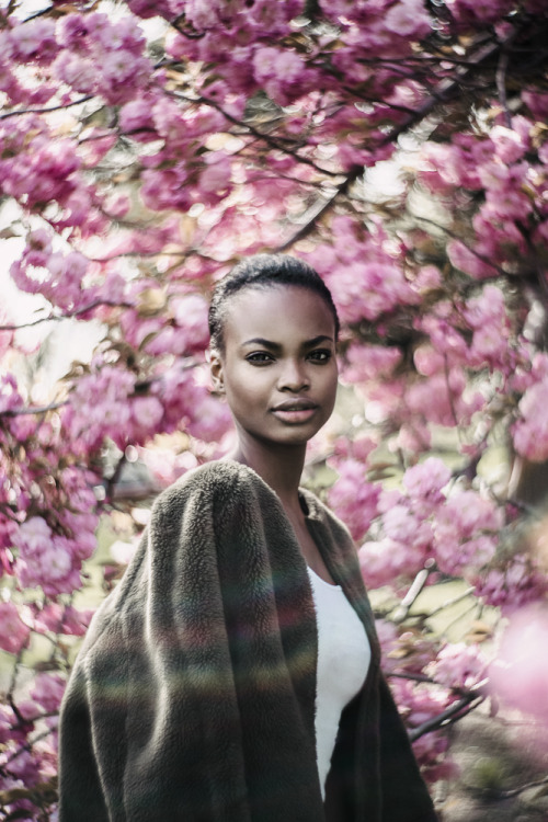 Nneoma at Ford by Emily Soto | Makeup/Hair by Anny ChowInstagram: www.instagram.com/emilysotoPhotosh