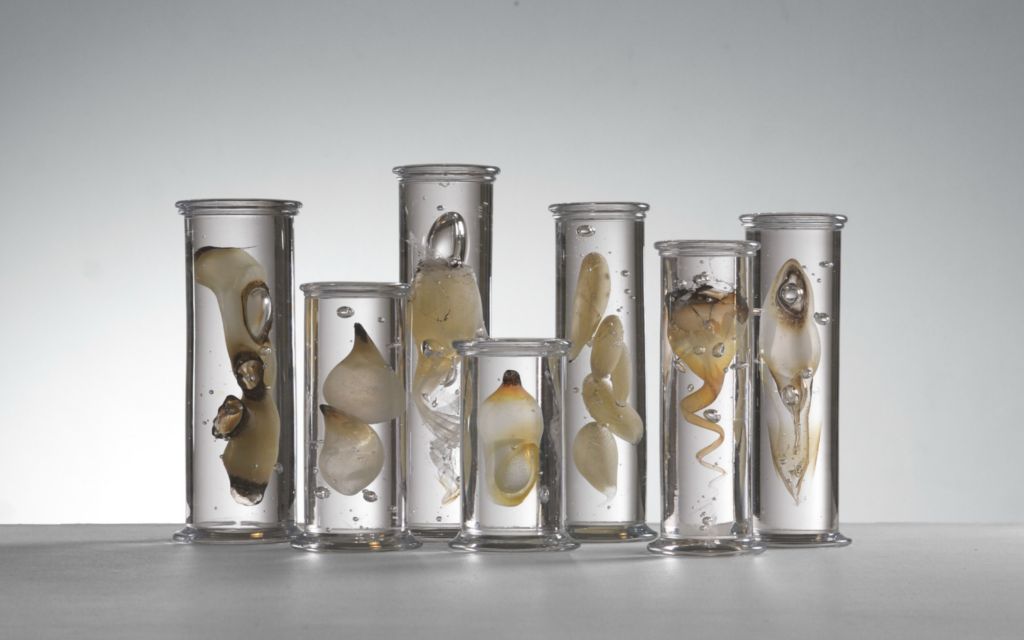 culturenlifestyle:  Stunning Marine Life Specimens Imagined in Glass by Steffen Dam