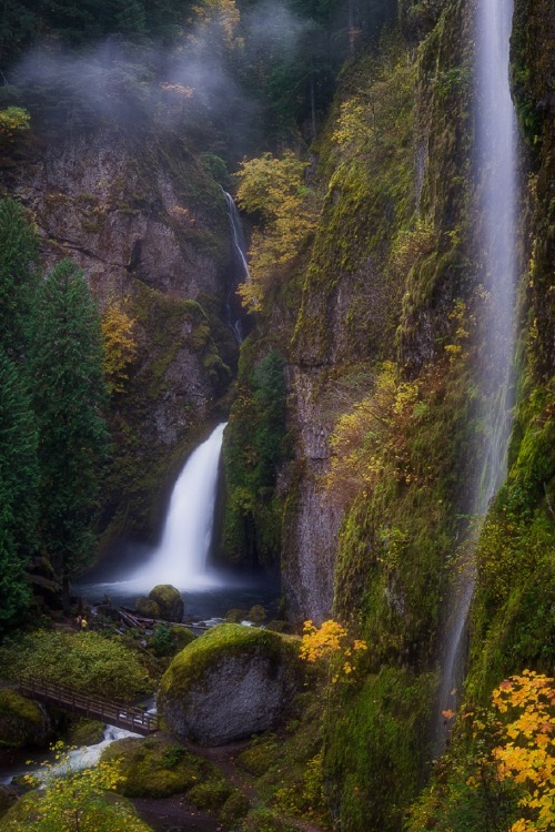 sublim-ature:Wahclella Falls, OregonErin Rigg