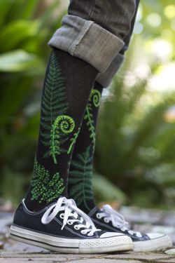 sockdreams:  Ferns and Fiddleheads Knee High | Mod Sock  These socks bring your toes to the shadowed, lush loveliness of the  forest floor, resplendent with ferns and unfurling fiddleheads.   These are sock size 9-11, and should fit US shoe sizes women’s