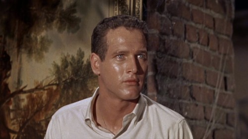 Paul Newman - Cat on a Hot Tin Roof