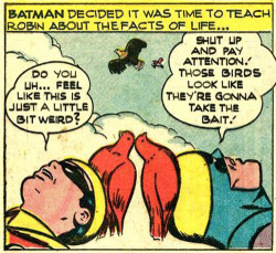 batmania:  Batman teaches Robin the facts of life.  …I’m afraid to ask. So weirded out by this.