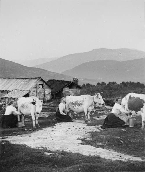 Reppastølen, ca. 1905-1910Reppastølen mountain farm. The mountains in the background a