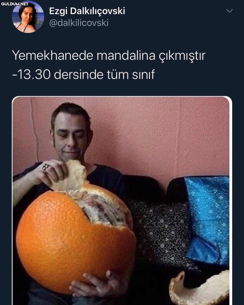 Ezgi Dalkılıçovski...