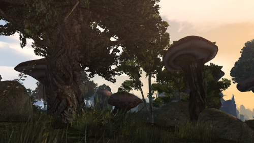 So I’ve been working on modding my Morrowind and writing this Morrowind graphics guide for a m