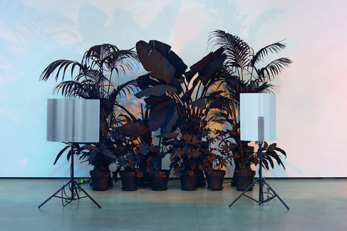 contemporary-art-blog:Andrew Dadson, Painted Plants, 2015 David Kordansky Gallery, Galleria Franco N