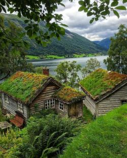 Visitheworld: Astruptunet / Norway (By   Vibeke).