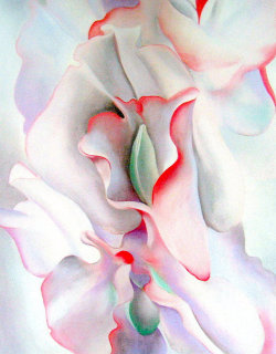 lymphocytic:   pink sweet peas, 1927 - Georgia O’Keeffe (re-print) 