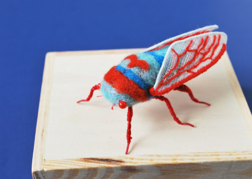 itscolossal:New Felted Toy Specimens by Hine Mizushima