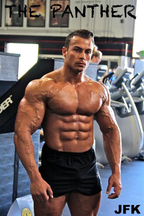 cdnlifter27:  Johan Fehd Karouani 