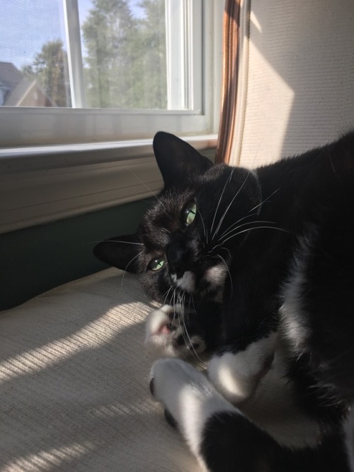 daisyygirl:Wish I was as photogenic as her ;)