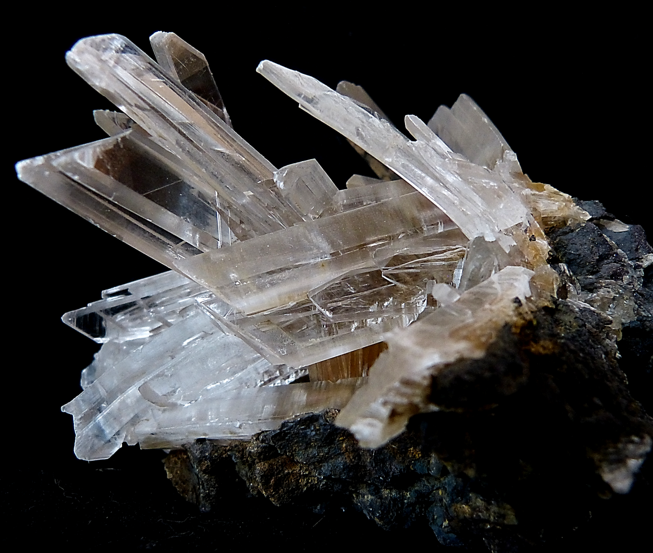 ifuckingloveminerals:    Selenite Santa Eulalia, Chihuahua, Mexico 