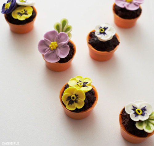 confectionerybliss: DIY : Teeny Tiny Flower Pot Cakes | The Cake Blog
